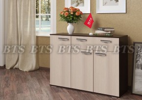 Комод Стандарт 4 NEW (БТС) в Екатеринбурге - mebel-e96.ru