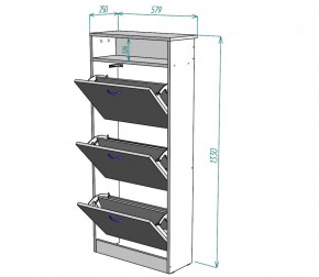 Обувница W9 (ДСС) в Екатеринбурге - mebel-e96.ru