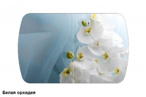 Стол Бостон 2 (1100*700) опоры Брифинг (Стекло/фотопечать Белая орхидея) в Екатеринбурге - mebel-e96.ru | фото