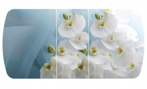 Стол Бостон-3 (Белая Орхидея) 1100/1420*700, опора Брифинг в Екатеринбурге - mebel-e96.ru