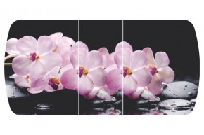 Стол Бостон-3 (Розовая Орхидея) 1100/1420*700, опора Брифинг в Екатеринбурге - mebel-e96.ru