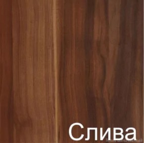 Стол-книжка (1-65) (ГК) в Екатеринбурге - mebel-e96.ru