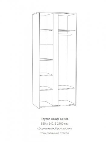 Шкаф Трувор 13.204 в Екатеринбурге - mebel-e96.ru